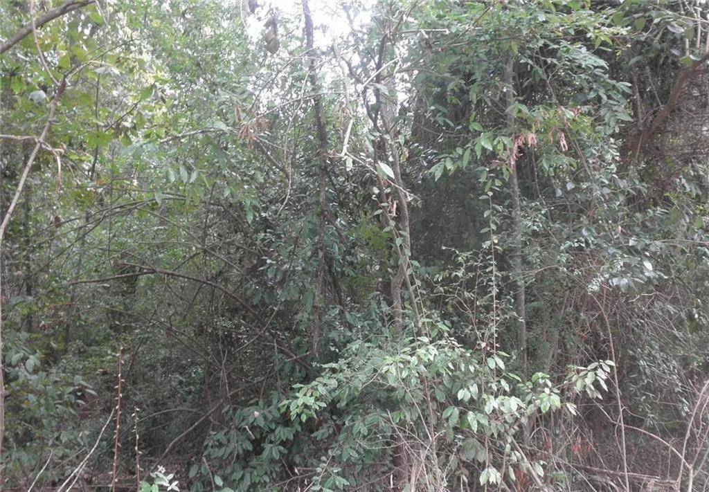 Monticello, GA 31064,0 Waters ST