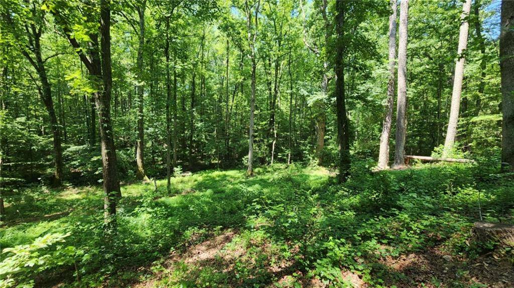 Dawsonville, GA 30534,134 Cicero TRL