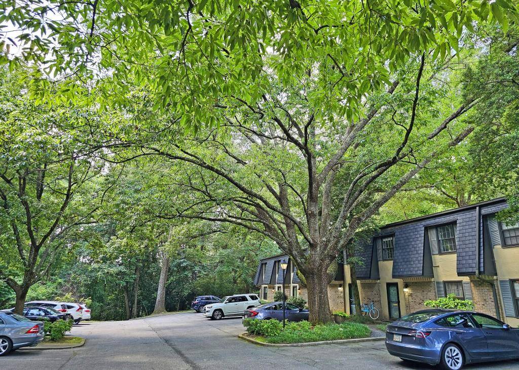 Atlanta, GA 30327,226 Triumph DR NW