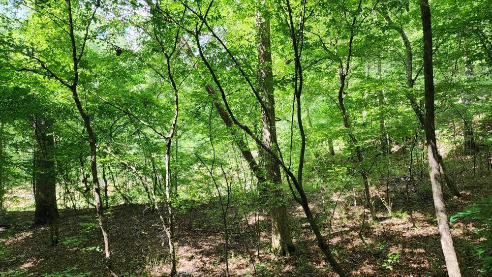 Douglasville, GA 30135,6670 Old Ferry CT