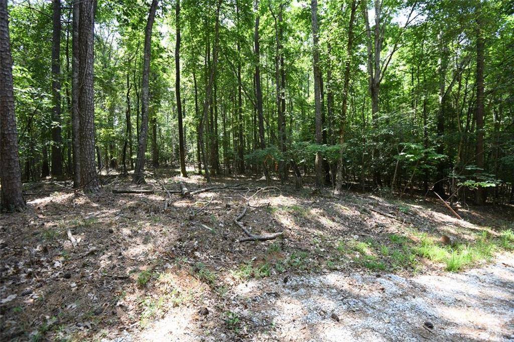 Lawrenceville, GA 30045,3269 Callie Still RD