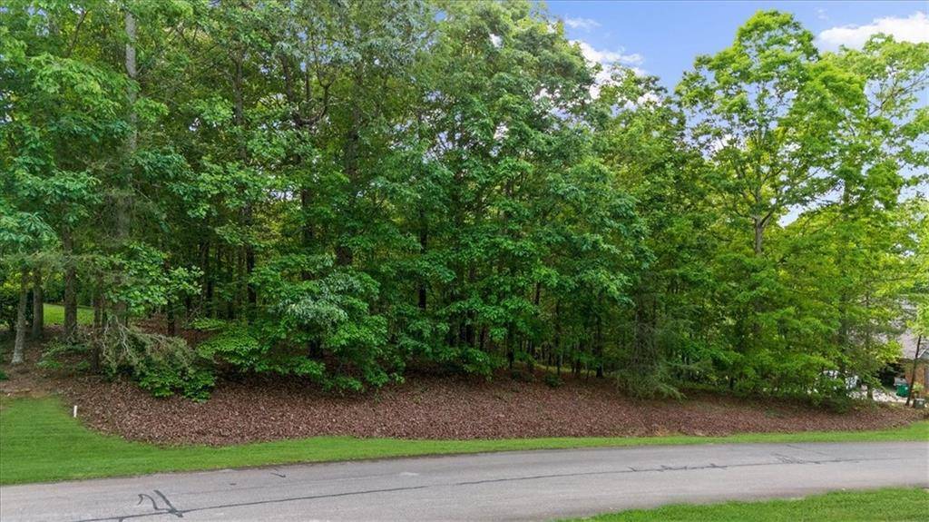 Cornelia, GA 30531,LOT 39 Laurel Place DR