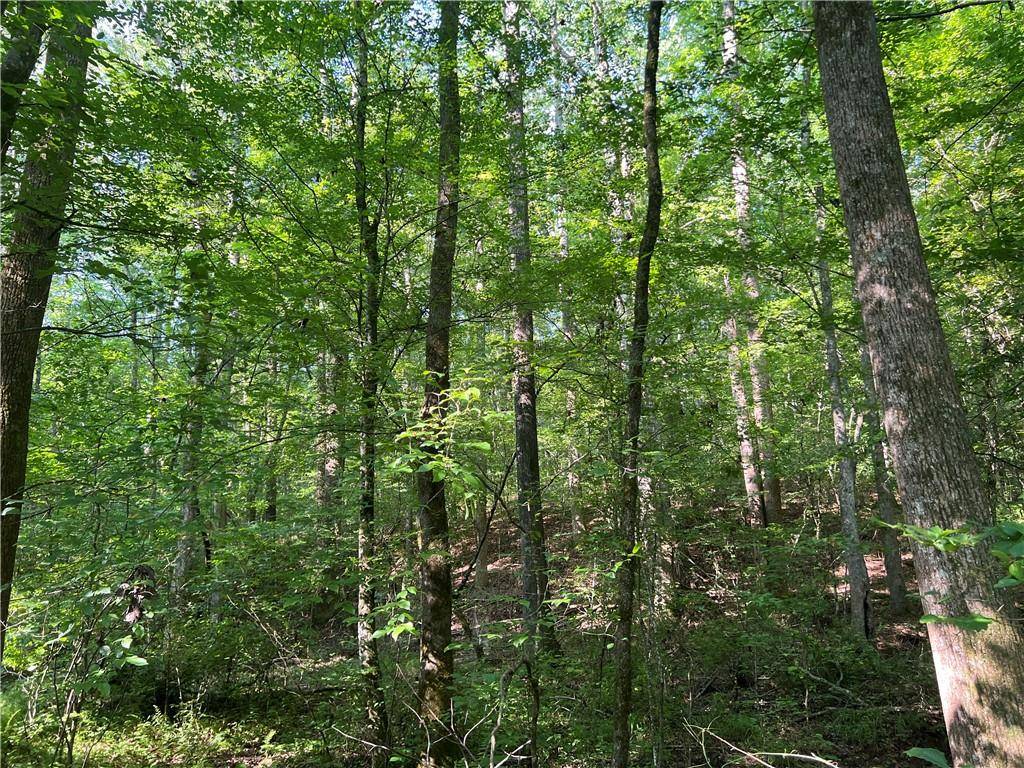 Temple, GA 30179,0 Mac Garner RD