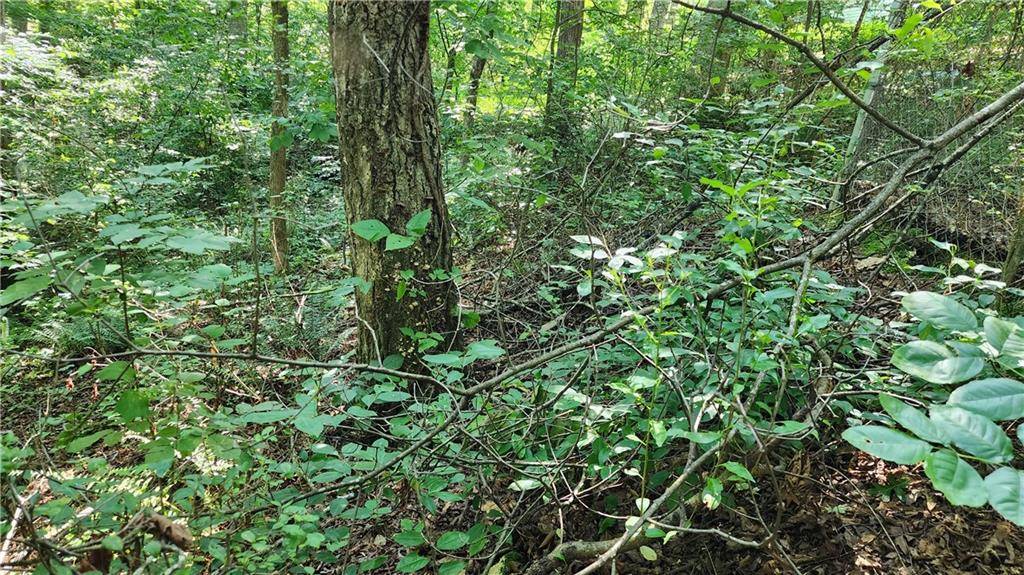 Cumming, GA 30041,0 Imperial DR