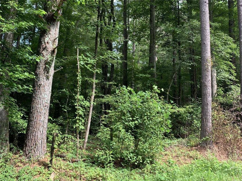 Muscadine, AL 36269,0 County Road 14