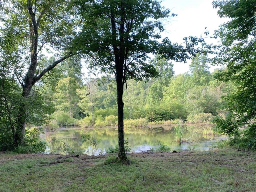 Muscadine, AL 36269,0 County Road 14