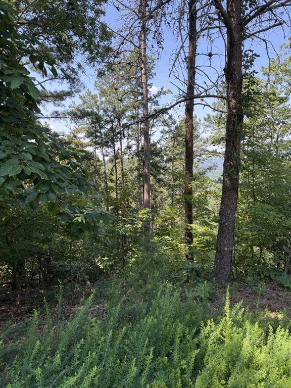 Ranger, GA 30734,1579 Dallas CT