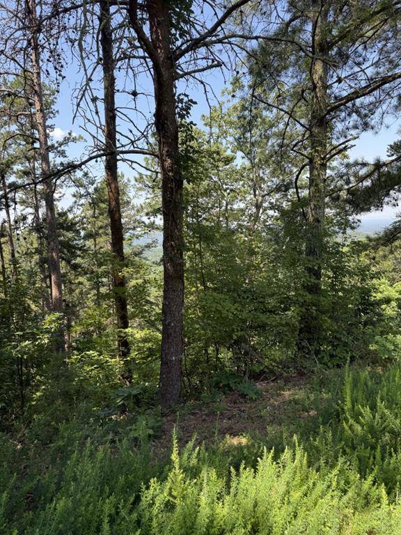 Ranger, GA 30734,1579 Dallas CT