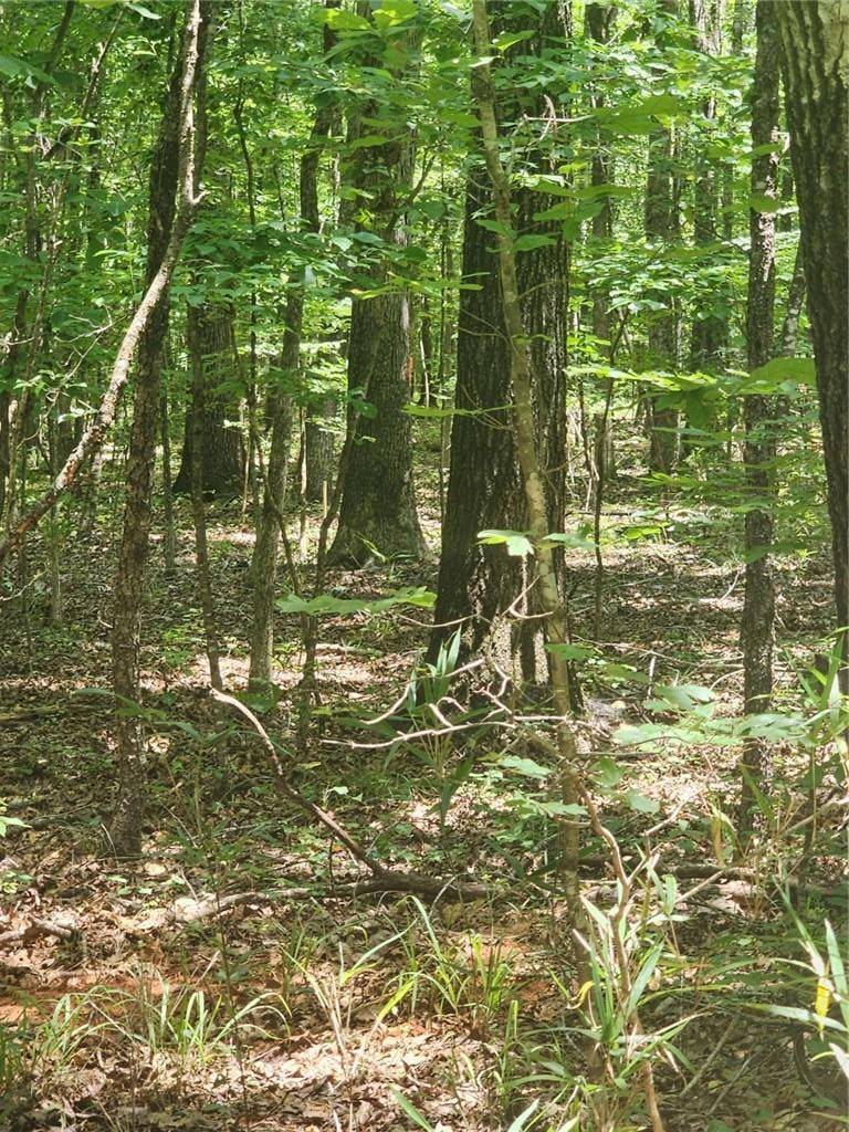 Eatonton, GA 31024,140 B Lakeshore DR