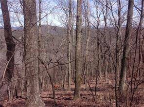 Big Canoe, GA 30143,8112 Disharoon DR
