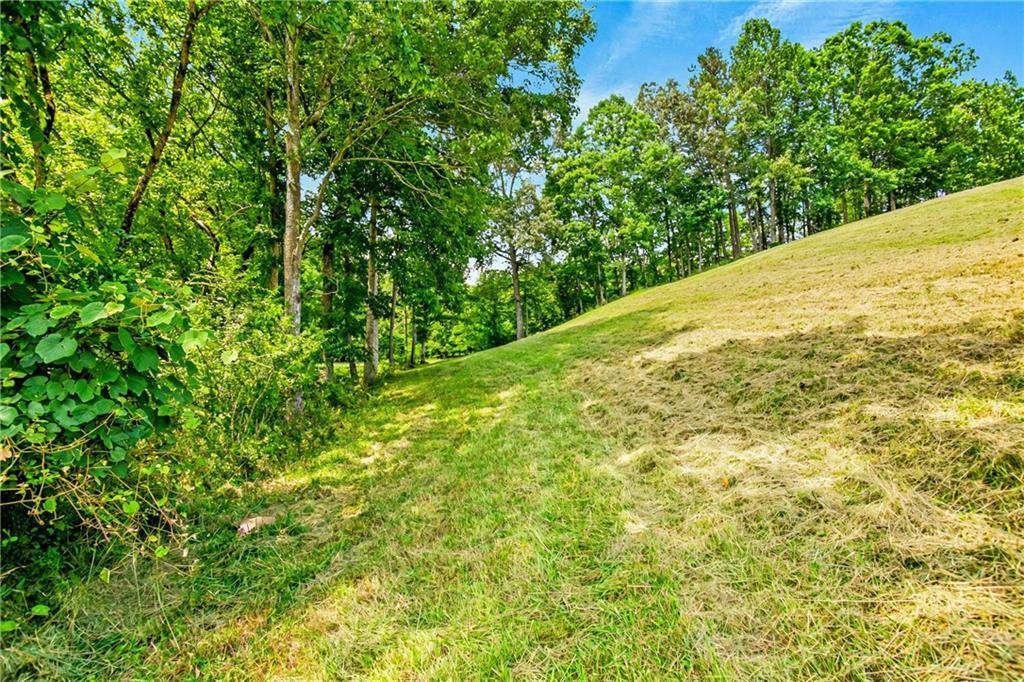 Morganton, GA 30560,LOT 22 Lower Ridge TRL