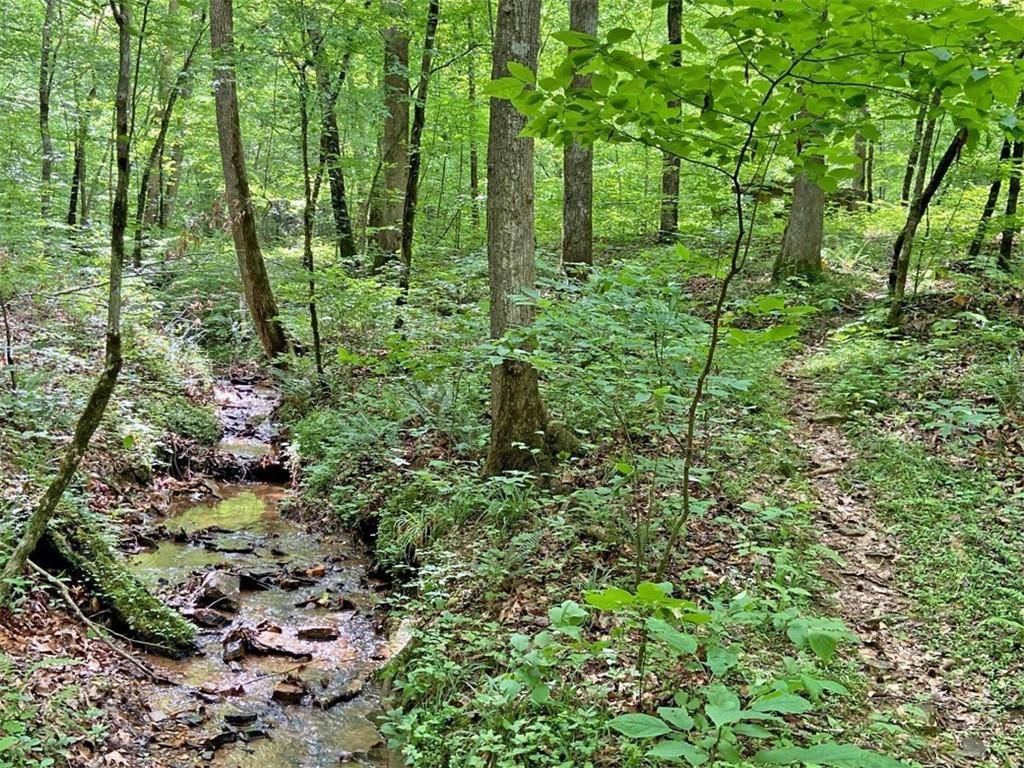 Dawsonville, GA 30534,39ac Myrtle DR