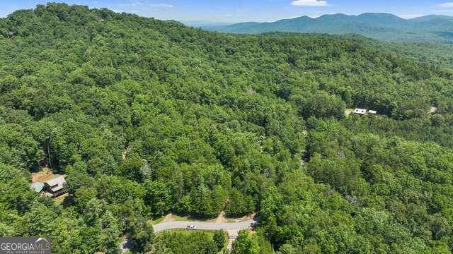 Cherry Log, GA 30522,LOT 1 High Knee Road