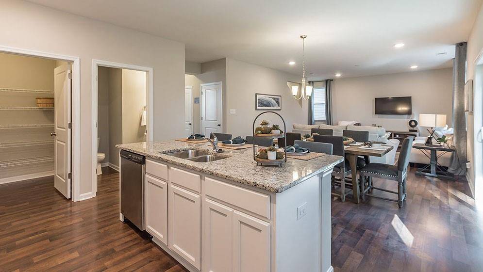 Hoschton, GA 30548,485 Great Salt Lane