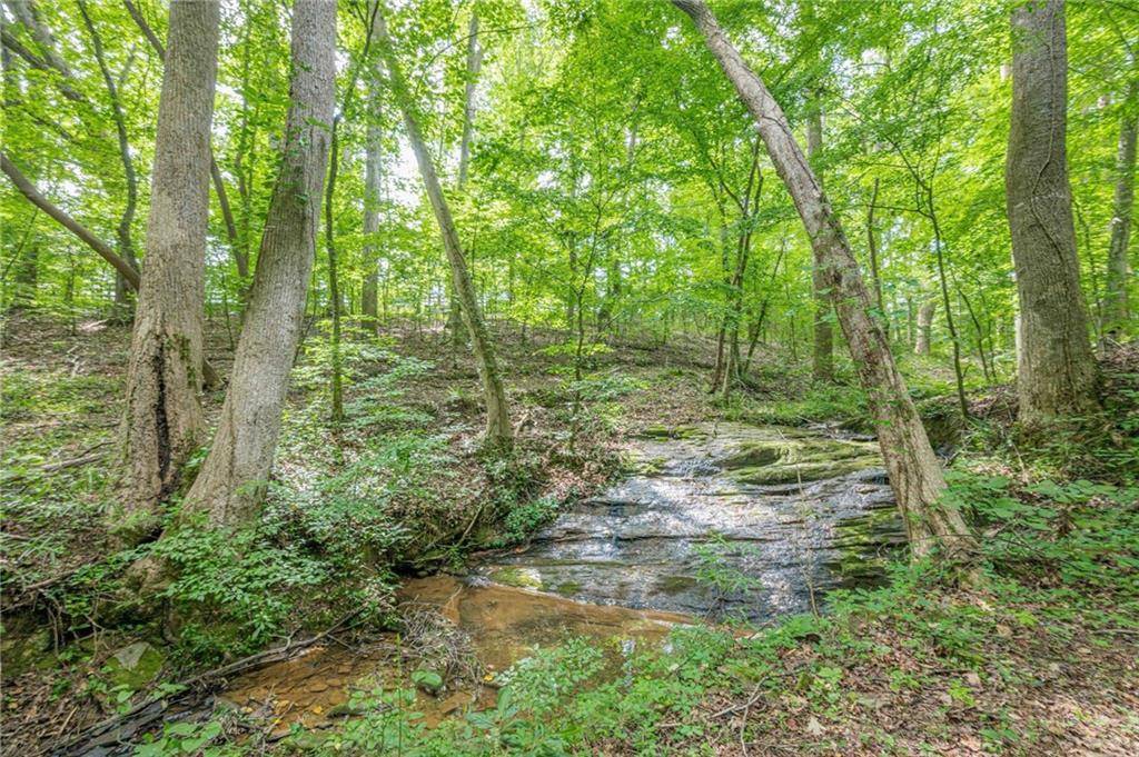 Canton, GA 30115,1498 Pinyan LN