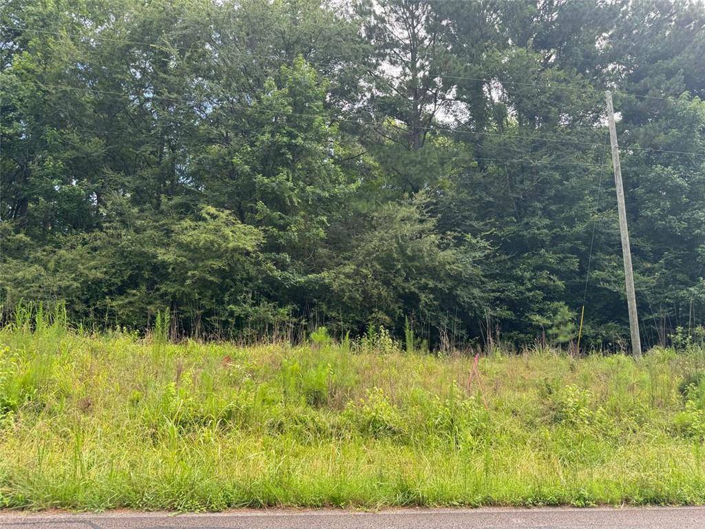 Buckhead, GA 30625,0 Saffold RD