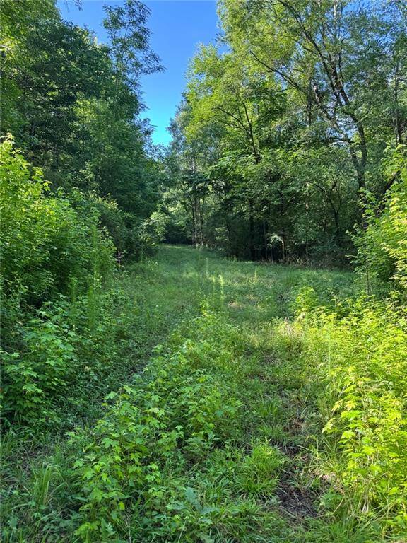 Buckhead, GA 30625,0 Saffold RD