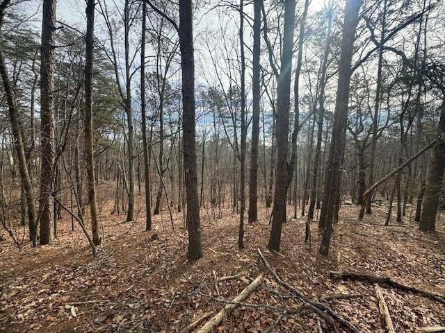 Waleska, GA 30183,117 Leopard Court