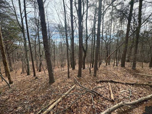 Waleska, GA 30183,117 Leopard CT