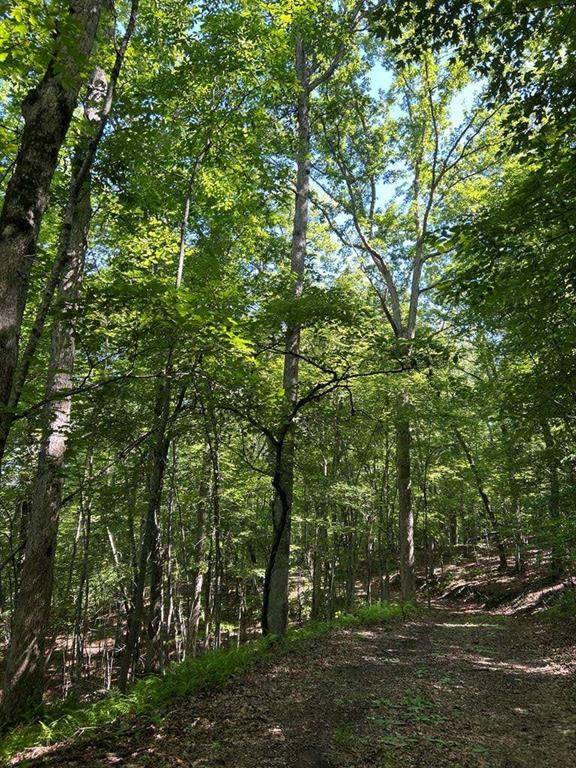 Blue Ridge, GA 30513,L69&70 Bice LN