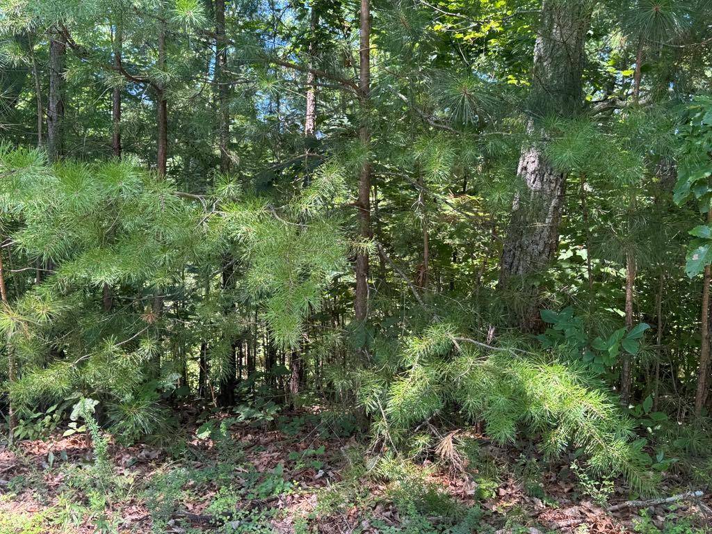 Ranger, GA 30734,189 Hopewell DR