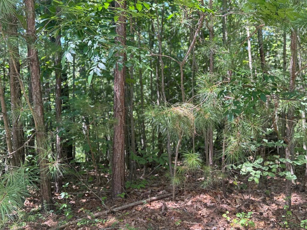 Ranger, GA 30734,189 Hopewell DR