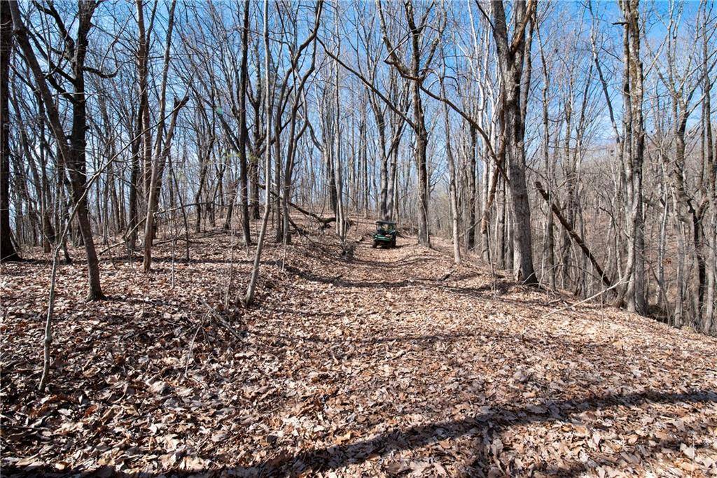 Murrayville, GA 30564,42.65 Acres Mincie Mountain