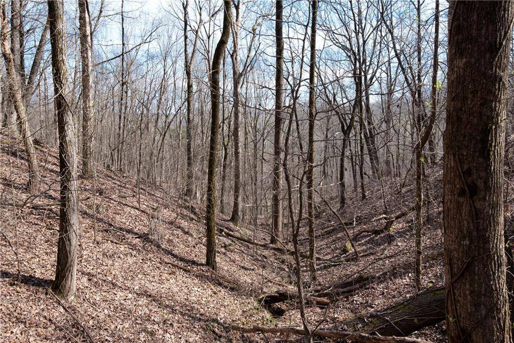 Murrayville, GA 30564,20.65 Acres Mincie Mountain