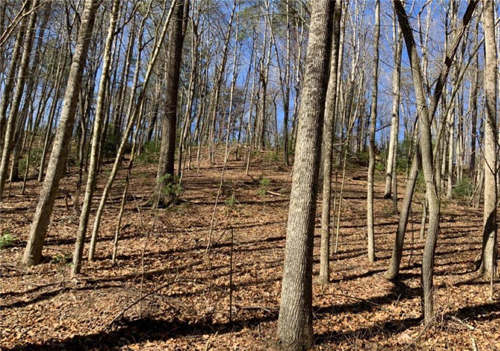 Ellijay, GA 30540,0 Walhalla CT