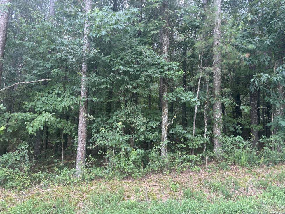 Ranger, GA 30734,0 Thompson Loop RD