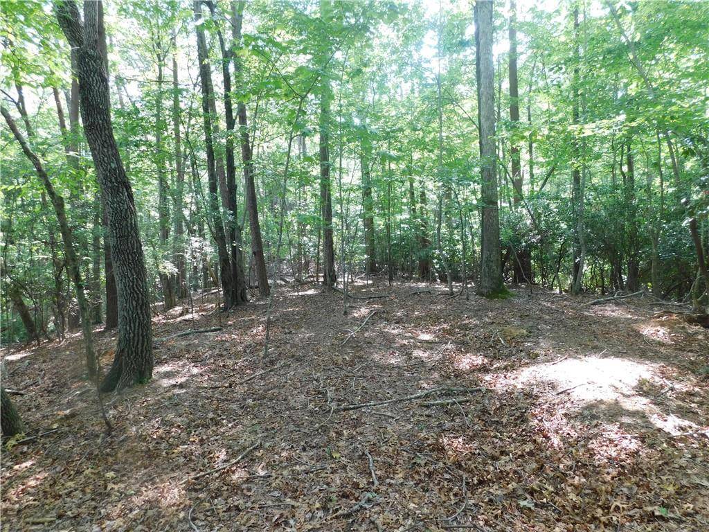 Dahlonega, GA 30533,Lot 2 Sweet Apple Lane