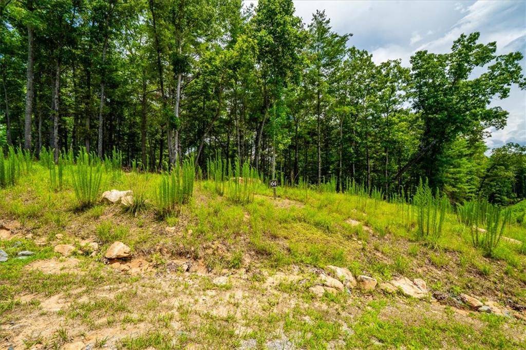 Morganton, GA 30560,0 Ridge