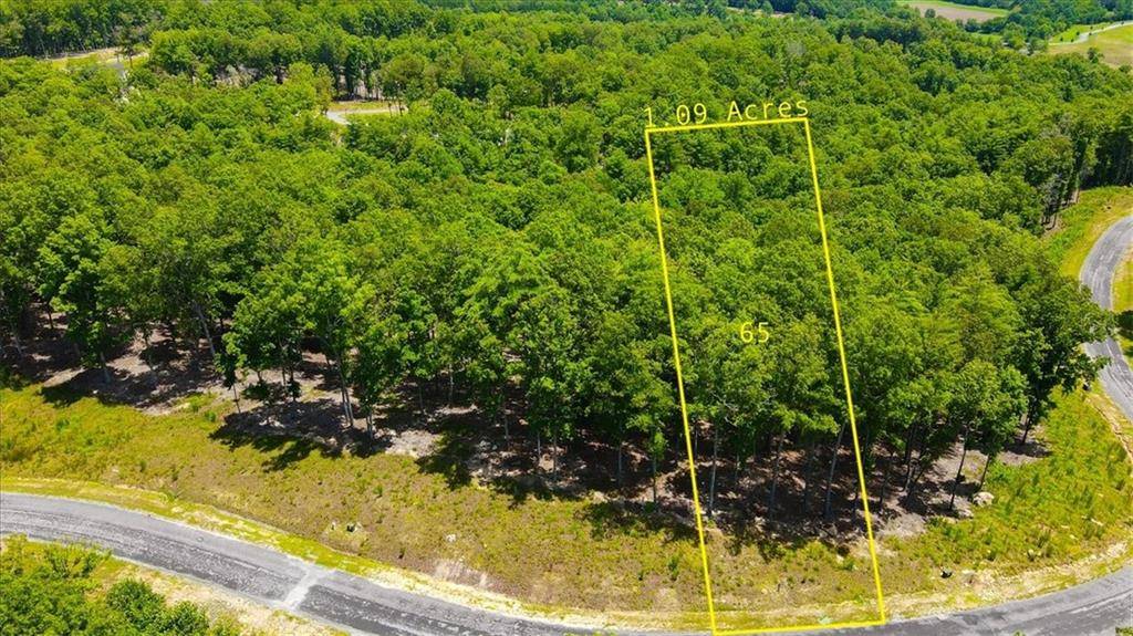 Morganton, GA 30560,0 Ridge