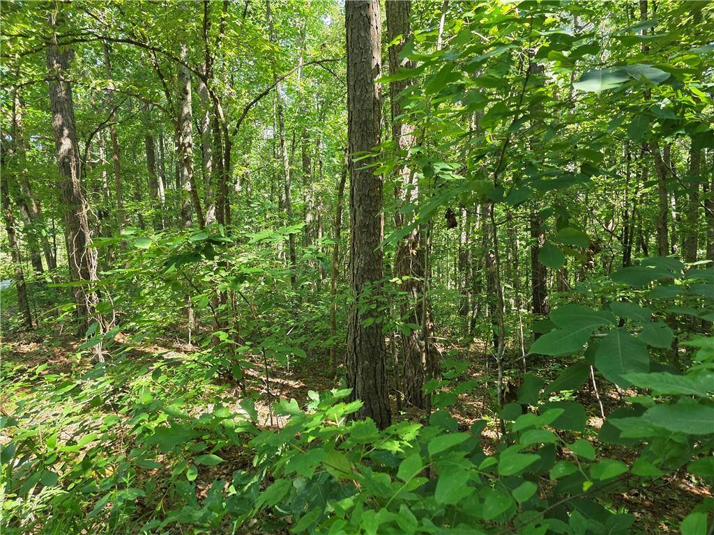 Ball Ground, GA 30107,0 Lawson Federal RD