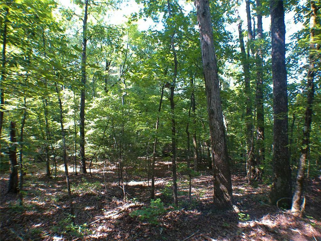 Covington, GA 30014,0 Briarpatch DR