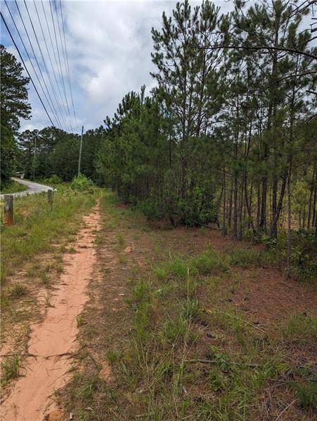 Winston, GA 30187,7900 Downs RD
