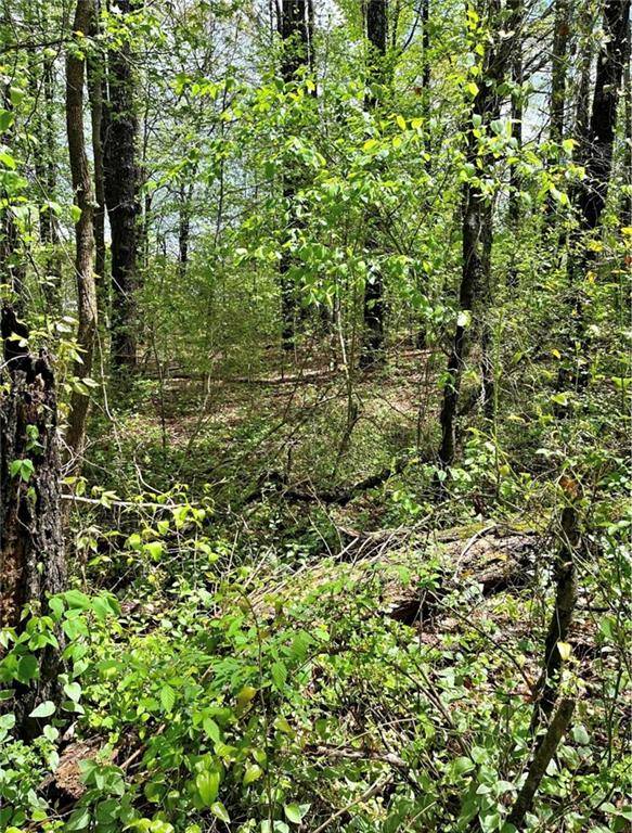 Powder Springs, GA 30127,3378 Macedonia RD SW