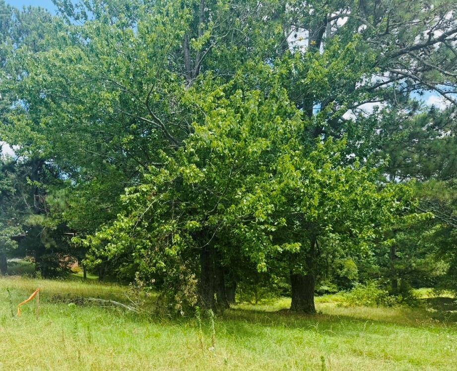 Buford, GA 30519,3283 N Bogan RD