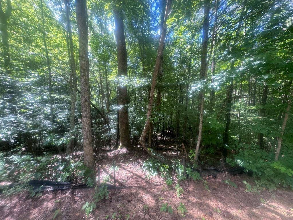 Jasper, GA 30143,Lot 36 Hampton Farms Trail TRL