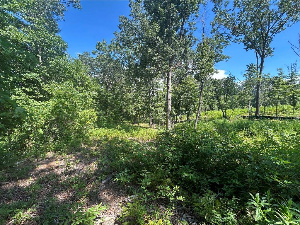 Canton, GA 30114,932 Sardis RD