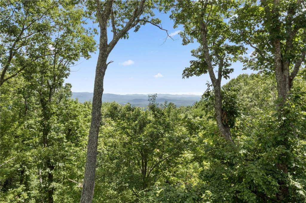Big Canoe, GA 30533,62 Bear Cub Ridge DR