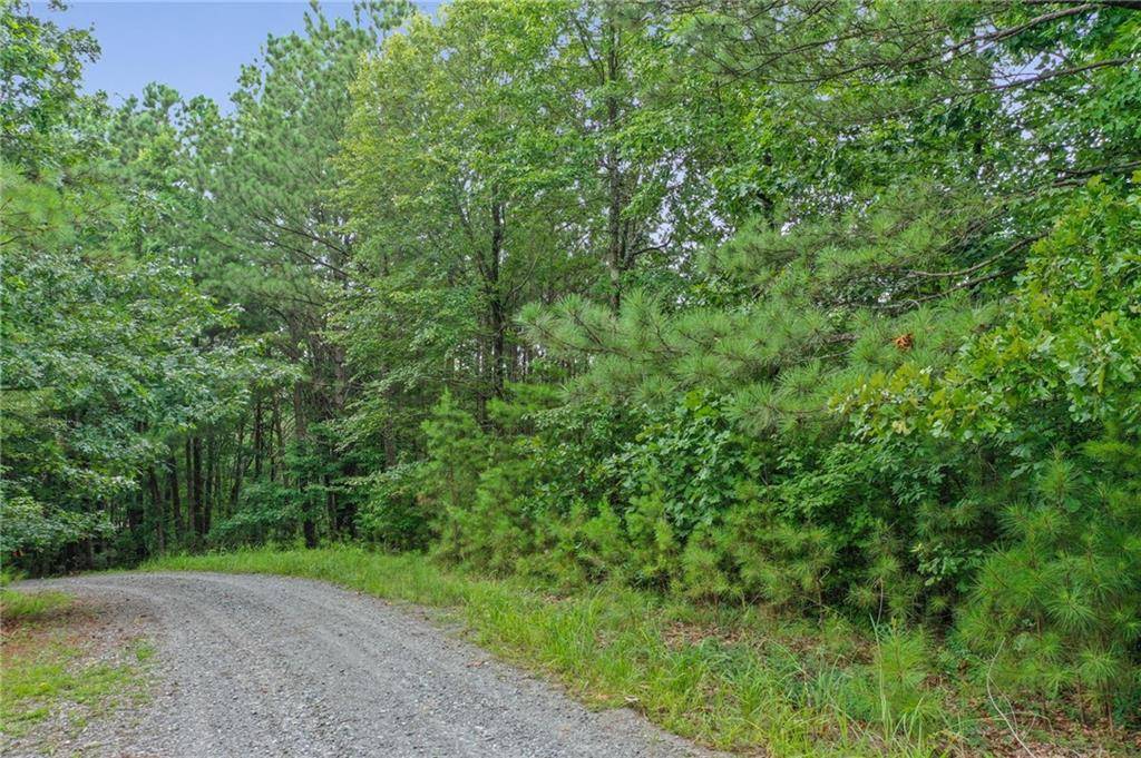 Ellijay, GA 30540,0 Lakeside TRL