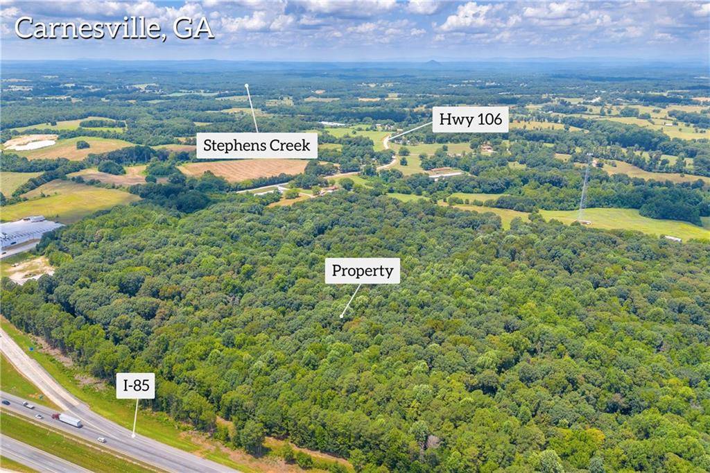 Carnesville, GA 30521,00 Hall Carson RD