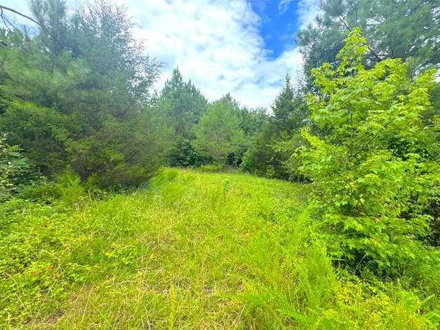 Adairsville, GA 30103,49 Iron Mountain RD NW