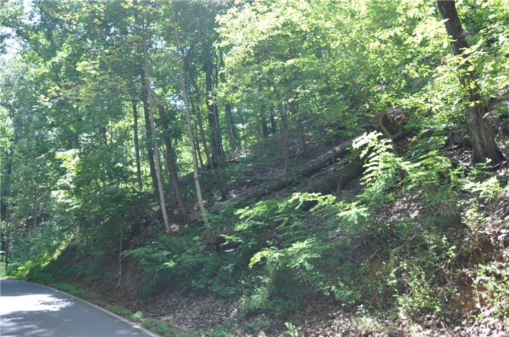 Big Canoe, GA 30143,7145 Valley View DR