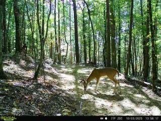 Jasper, GA 30143,2691 Old Burnt Mountain RD