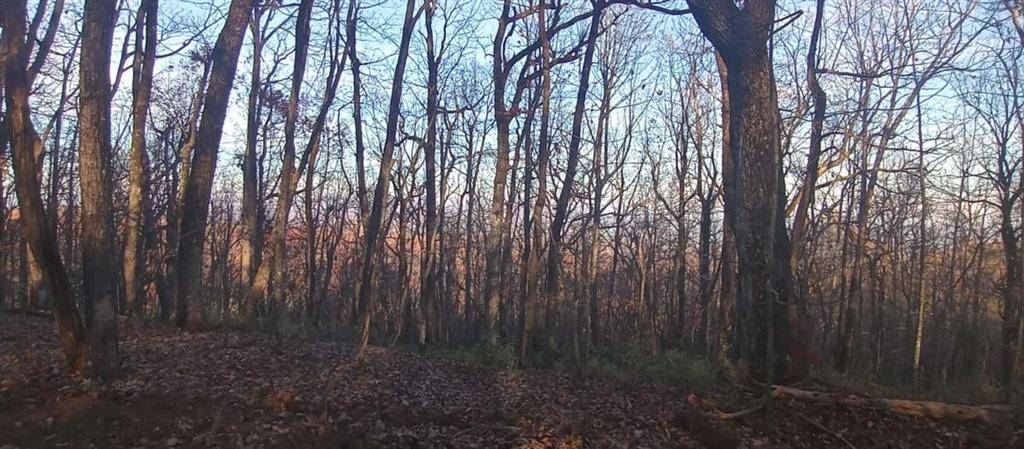 Jasper, GA 30143,00 Lower Sassafras Pkwy