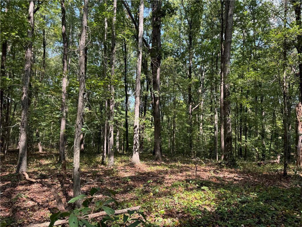 Canton, GA 30115,348 A Pat Rich Drive