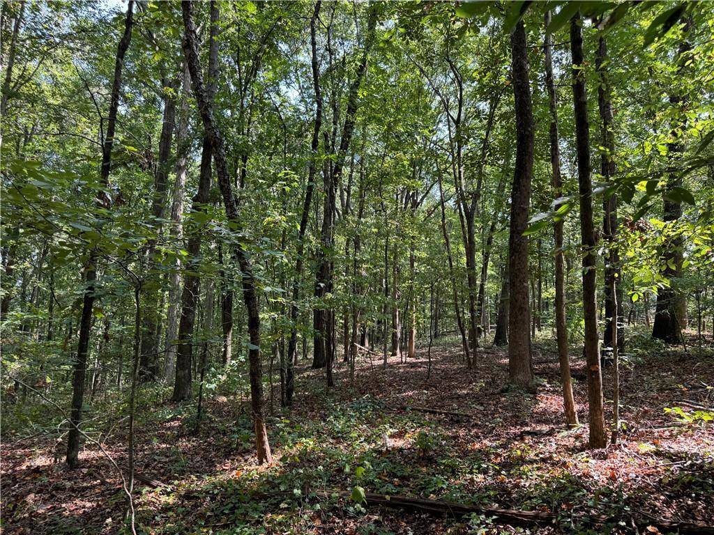 Canton, GA 30115,348 A Pat Rich Drive