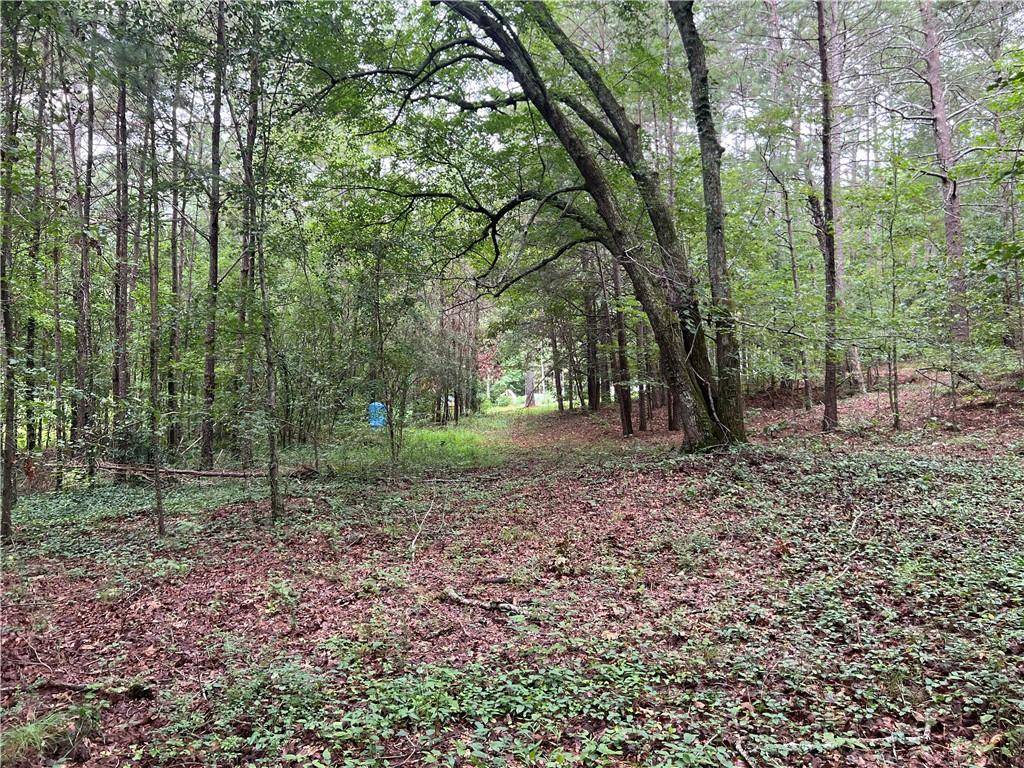 White, GA 30184,300 Timberwood RD NW